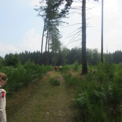IMG 0619 - Scouts en Gidsen Zaventem 